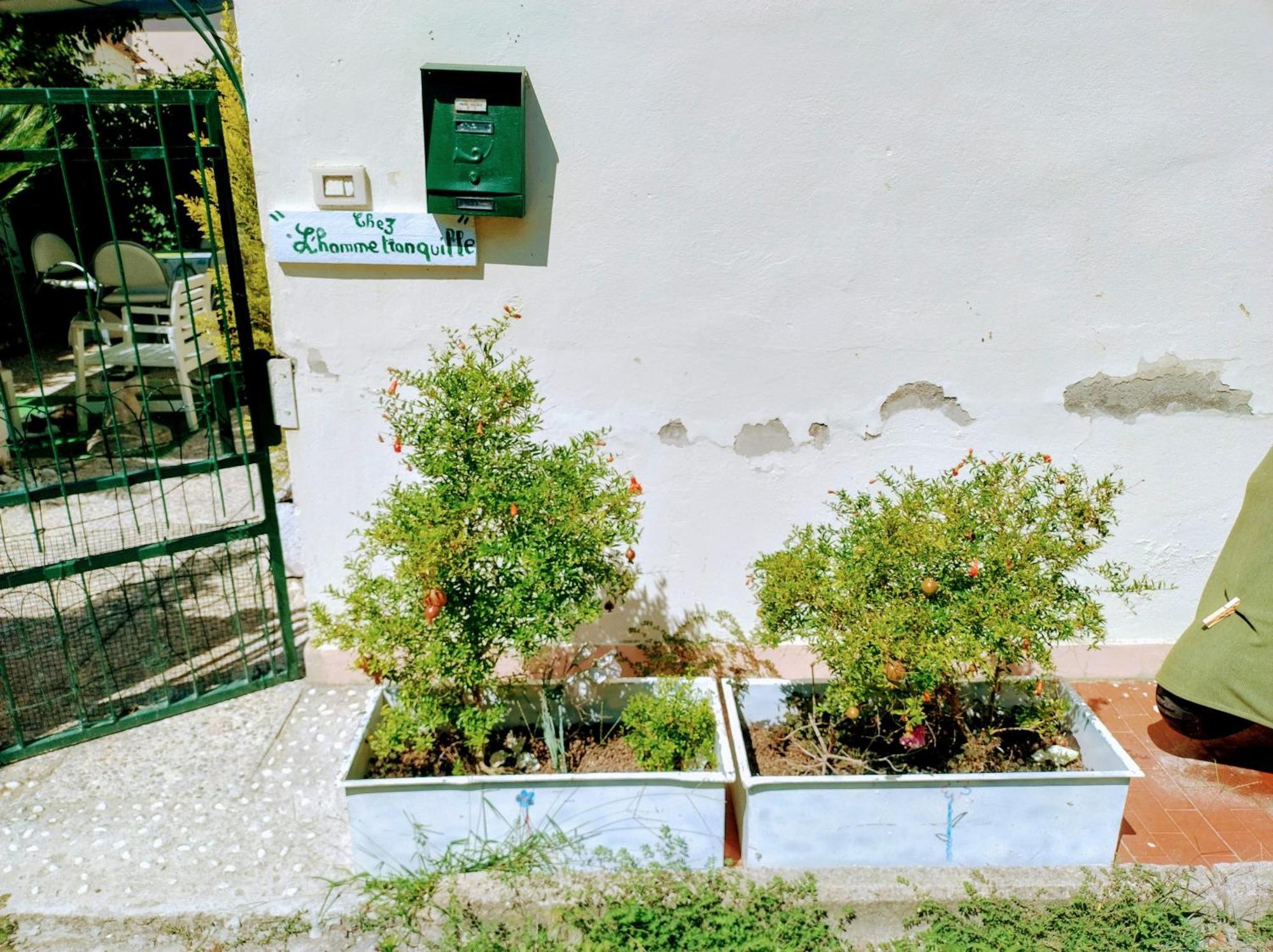 Chez L'Homme Tranquille Daire Arena Metato Dış mekan fotoğraf